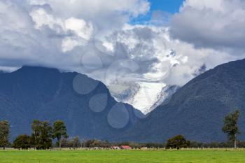 Fox Glacier