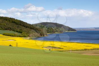 Arable Farming Field near Munlochy Bay