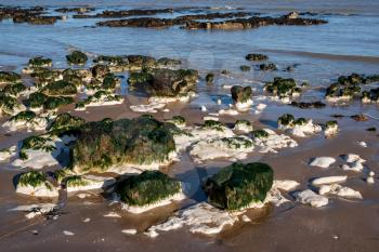 Chalk rocks exposed at low tide in Botany Bay near Broadstairs in Kent