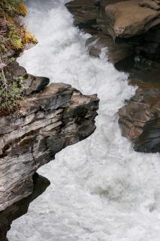 Rapids on the Athabasca River in Jasper National Park