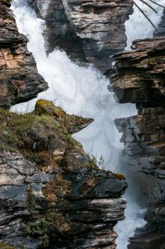 Rapids on the Athabasca River in Jasper National Park