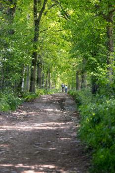EAST GRINSTEAD, WEST SUSSEX/UK - MAY 6 : Two people cycling along a wooded track in the spring sunshine near East Grinstead, West Sussex on May 6, 2020. Two unidentified people
