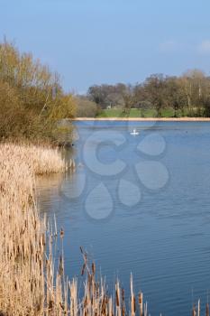 View of Kneppmill Lake on a Sunny Spring Day