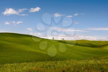 View of the scenic Tuscan countryside