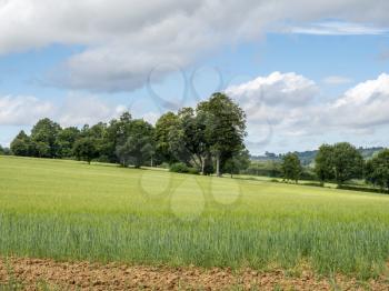 Rolling arable farm land near East Grinstead in West Sussex on a sunny summer day