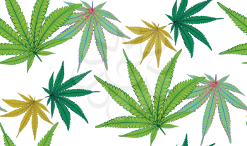 Decorative colorful leaf of marijuana plant on white background.