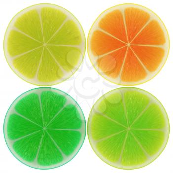 Collection of different citrus slices isolated on white background.
