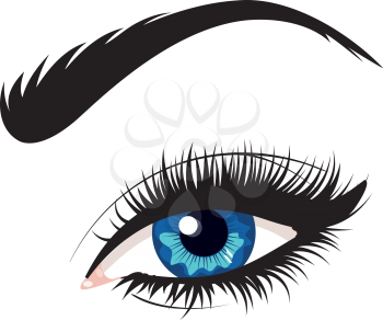 Cartoon female eye of blue color with eyebrow illustration.