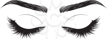 Female closed eye with long black eyelashes and thick brows on white background.
