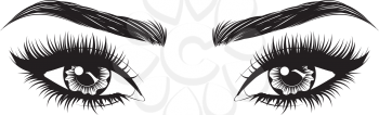 Female eyes with long black eyelashes and thick brows on white background.
