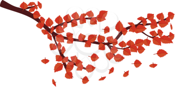 Illustration of brunch with autumn red leaves on white background.