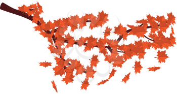 Illustration of red autumn maple leaves on brunch.