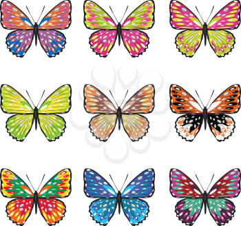 Collection of summer butterflies in different colors on white background.