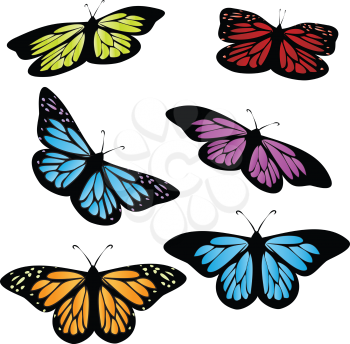 Illustration of colored butterflies isolated on white.