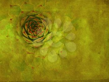 Abstract grunge background of green flower plant