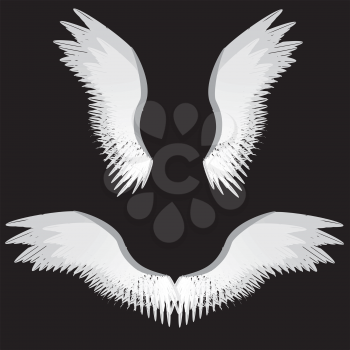Illustration of abstract angel wings on black background.