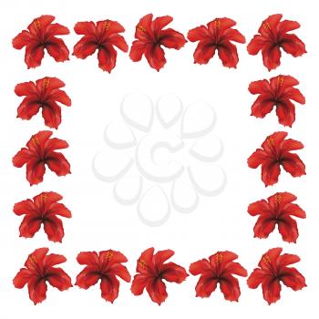 Floral frame made from red hibiscus flowers on white background.
