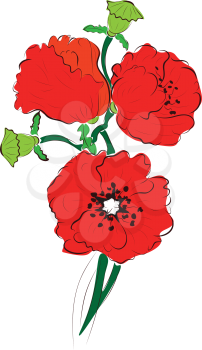 Bright red poppy flowers illustration, decorative floral background.