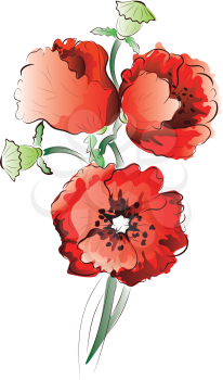 Bright red poppy flowers illustration, decorative floral background.