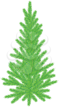 Small new year tree on white background.