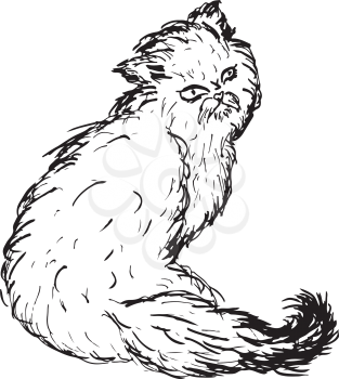 Grunge sketch of a cute Persian cat, abstract illustration.