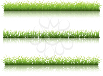 Fresh green grass line with reflection on white background.