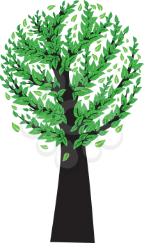 Tree silhouette with fresh green leaves on white background.