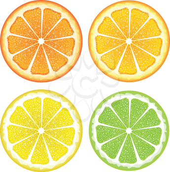 Grapefruit, lemon, orange and lime slices, colorful background.