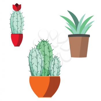 Collection of house plants abstract illustration on white background.
