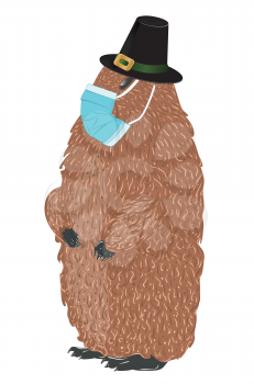 Cute cartoon groundhog wears a disposable mask design.