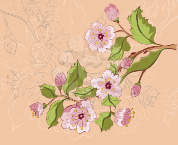 Colored sketch of sakura blossom branch on paper color background.