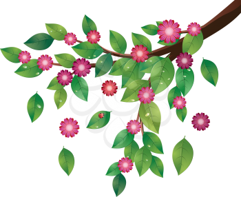 Tree branch with green leaves and pink flowers.