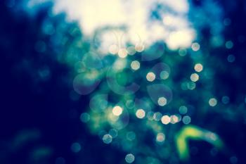 Defocused water drops on a spider web, bokeh effect,  natural background.