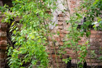 Old destroyed an abandoned house with grunge brick walls.