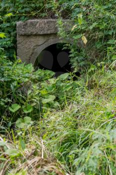 Large old concrete drain pipe, culvert in the grass.