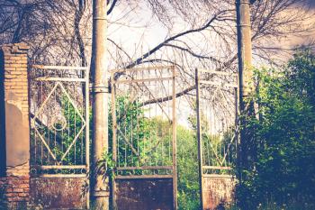 Abandoned rural stadium metal gate and green foliage, filtered background.