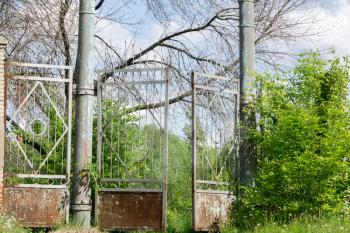 Abandoned rural stadium metal gate and green foliage.