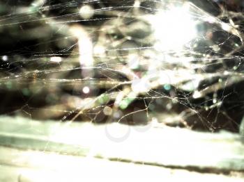 Cobweb with glows and circular bokeh effect, night shot.