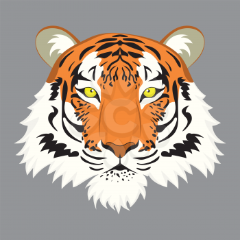 Illustration of cute red tiger portrait, wildcat design.