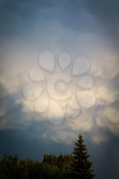 Unusual Mammatus clouds appears after the storm.