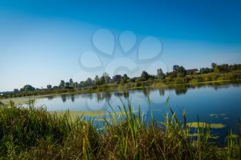 Small river in the countryside and green bushes at the summer day.