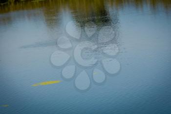 Wavy water surface of the small river, close up photo.