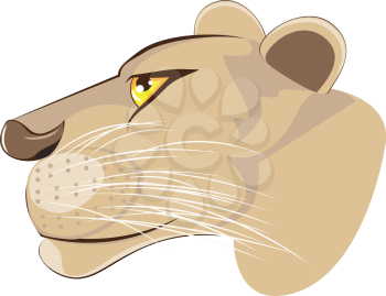 Cartoon illustration of a lioness head on white background.