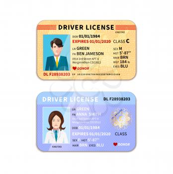 DIfferent car driver licenses with photo isolated on white