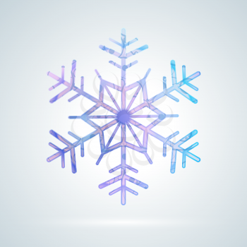 Bright colourful ice snowflake on light background