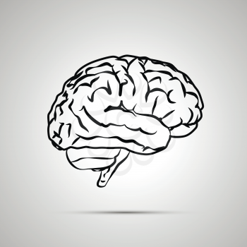 Human brain, black vector icon with shadow