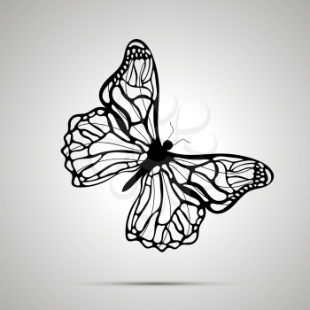 Butterfly icon, detailed black silhouette on gray