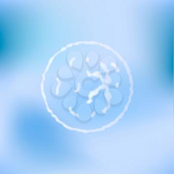 White egg cell, microscopic view on soft blue background