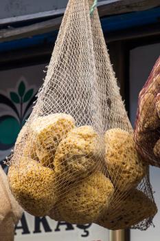 Collection of sea sponges hanging on a market stall