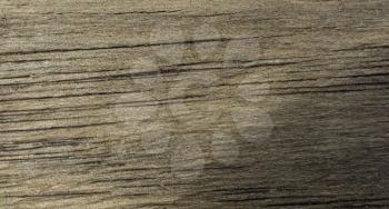Wood texture with natural patterns as a background